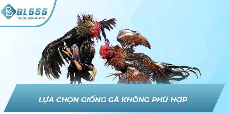 Lựa chọn giống gà không phù hợp 