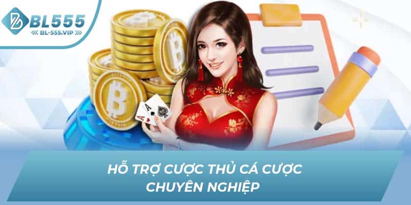 Hỗ trợ cược thủ cá cược chuyên nghiệp